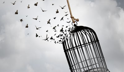 ”Du har bara en enda chans” – ny bok om verkställighetshinder