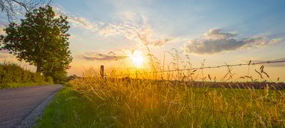 Kan klimatprocesser mot stater och kriminalisering av ekocid hjälpa klimatet?&nbsp; – lyssna på professor Jonas Ebbesson i Juridikens värld