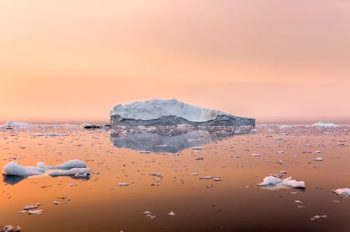 Klimatpolitikens paradoxer