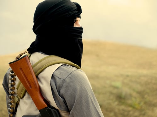 Ny terrorlag både efterfrågad och kritiserad