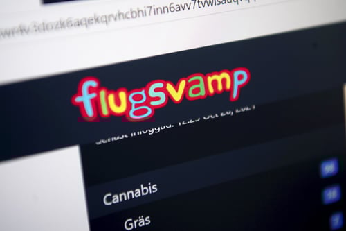 30-åring drev drogsajten Flugsvamp – får långt fängelsestraff