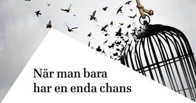 ”Du har bara en enda chans” – ny bok om verkställighetshinder