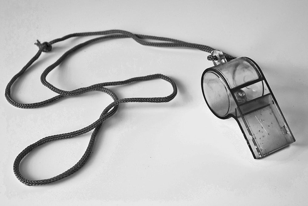 SEKG-Visselblasarlagen