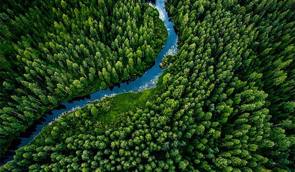 miljoskadestand-nya-rattsfall-och-tendenser-extra-600x350