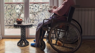 Slappa kontroller stoppar inte fusket inom välfärden